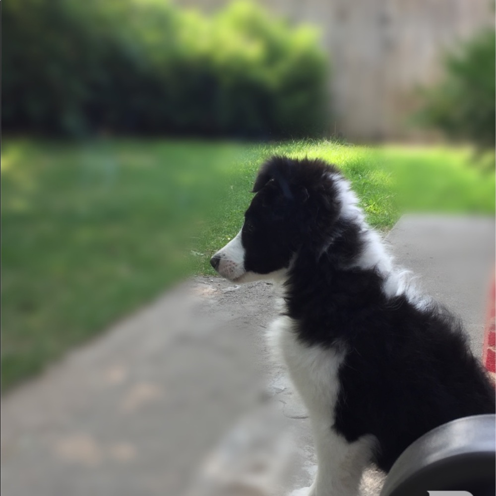 Meet your Posher, Tana